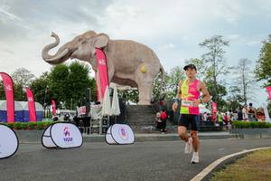 BIB: 
                            <button type="button" onclick="openModal(26528702)" class="btn btn-primary btn-sm float-right btn-popup" data-toggle="modal" data-target=".modal-high-quality">
                        <i class="fas fa-shopping-cart"></i> Add to Cart
                    </button>
                                            <button type="button" onclick="isThisMe(26528702, true)" class="btn btn-success btn-sm float-right btn-popup btn-isme hidden" data-toggle="tooltip" data-placement="bottom" title="นี่คือรูปของคุณใช่ไหม คลิกที่นี่เพื่อเอาเข้าอัลบั้ม">
                        <i class="fas fa-plus"></i> Add to album
                    </button>
                    <button type="button" onclick="isThisMe(26528702, false)" class="btn btn-warning btn-sm float-right btn-popup btn-isnotme hidden">
                        <i class="fas fa-ban"></i> Remove from album
                    </button>